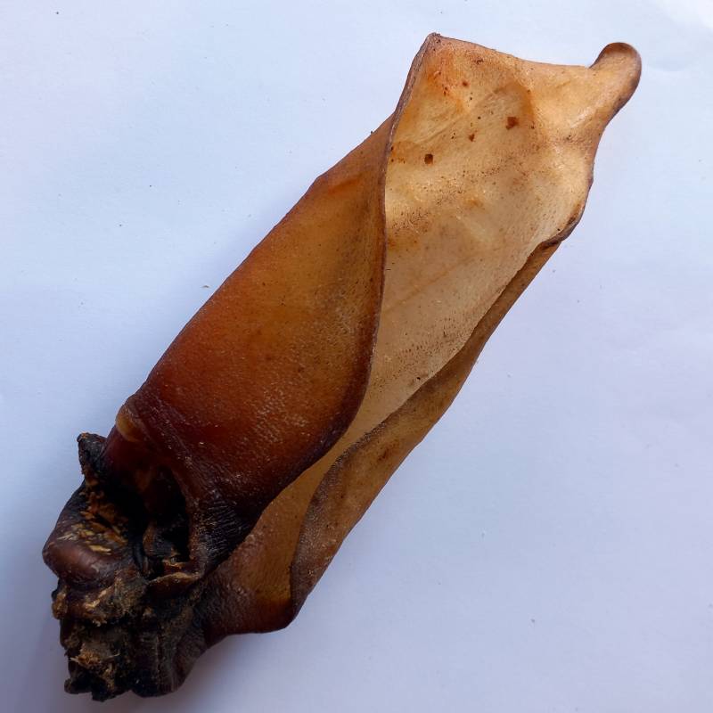 Buffalo Ears Large with Meat