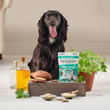 Forthglade Fresh Breath Soft Bites