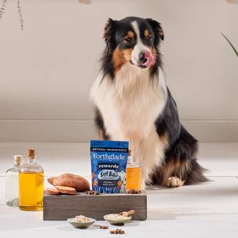 Forthglade Rewards Soft Training Bites