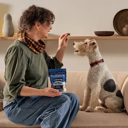 Forthglade Rewards Soft Training Bites