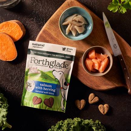 Forthglade Salmon With Herring Soft Bites