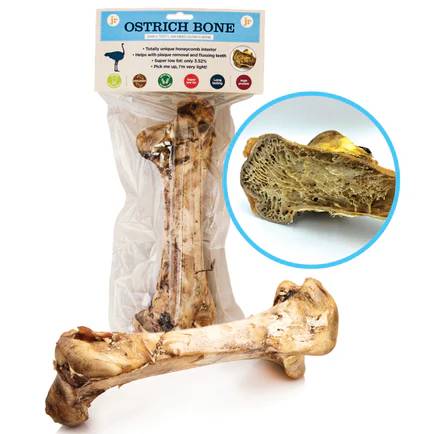 JR Large Ostrich Bone
