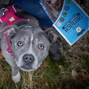 JR Pure Ostrich Training Treats