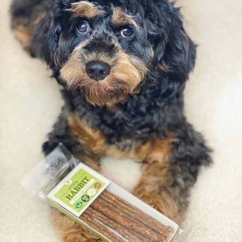 JR Pure Rabbit Sticks