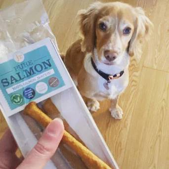 JR Pure Salmon Sticks