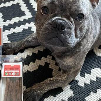 JR Pure Turkey Sticks