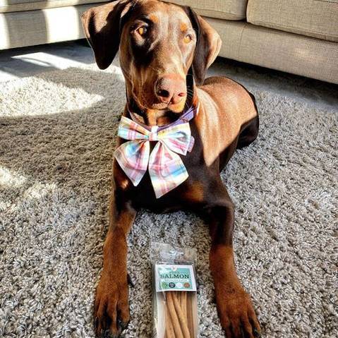 JR Pure Salmon Sticks