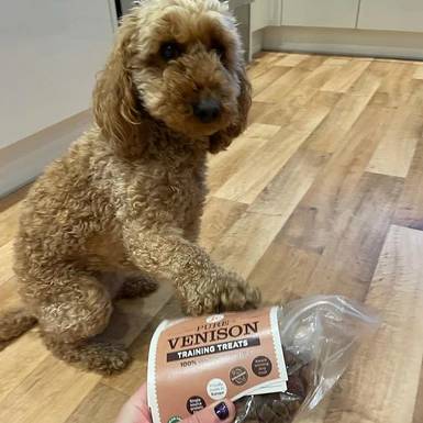 JR Pure Venison Training Treats