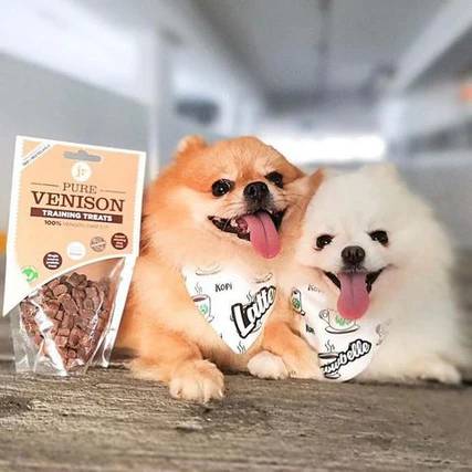 JR Pure Venison Training Treats