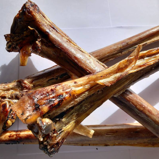 Ostrich Metatarsus Bone