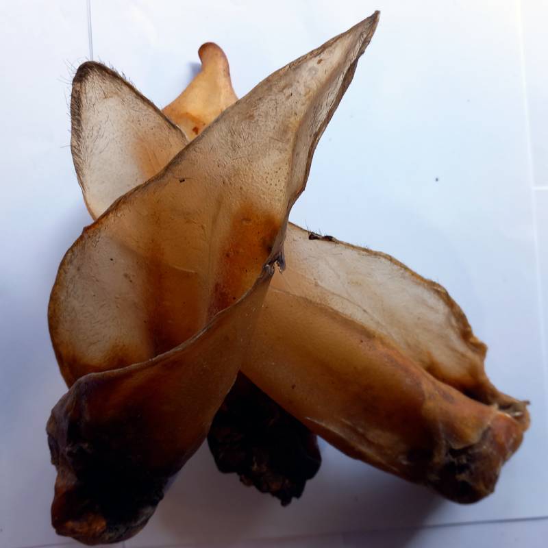 Buffalo Ears Large with Meat