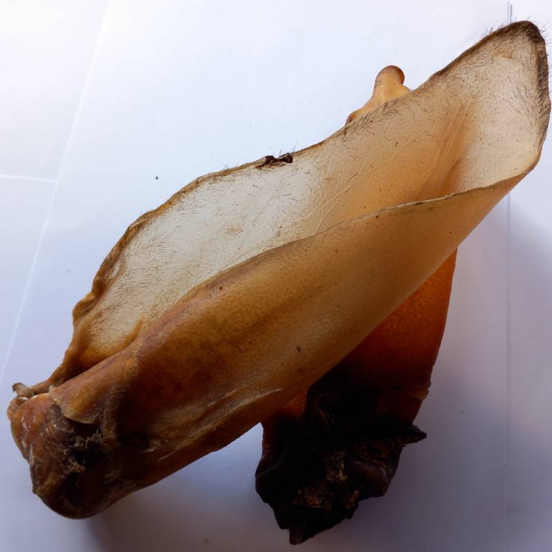 Buffalo Ears Large with Meat