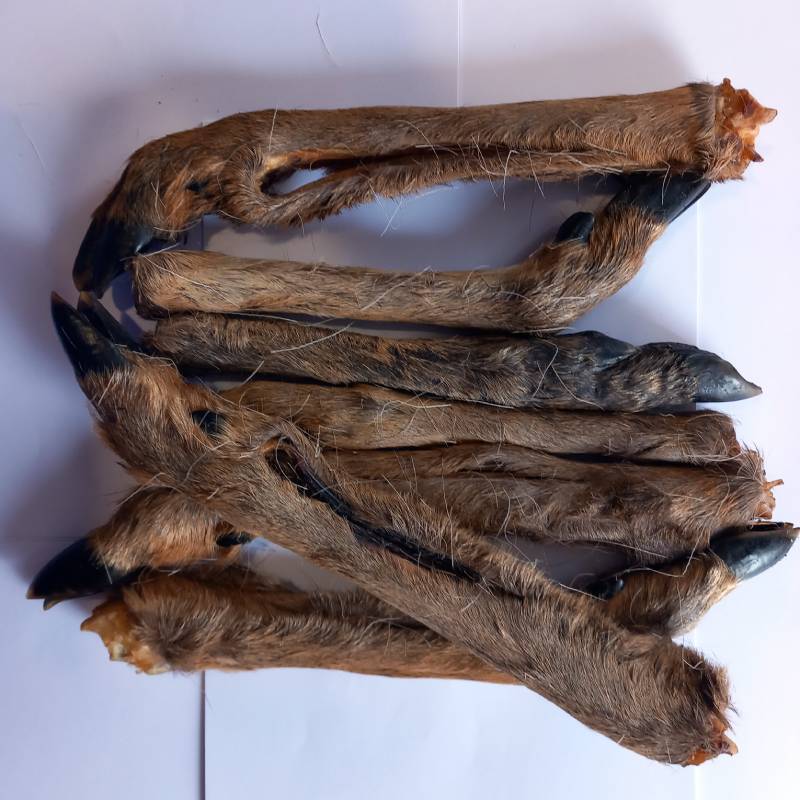 Deer Legs For Dogs