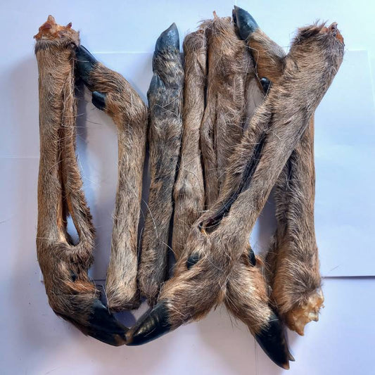 Deer Legs For Dogs