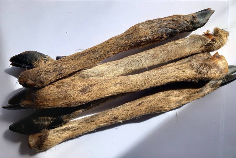 Deer Legs For Dogs