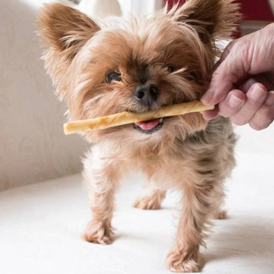 No-Hide Chicken Stix