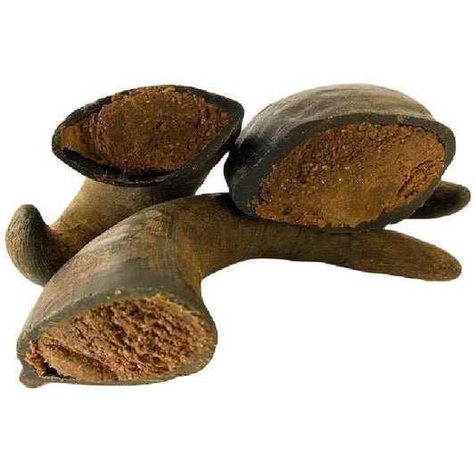 Filled Buffalo Horns