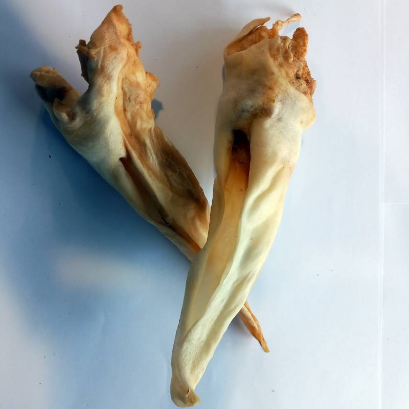 Goat Ears