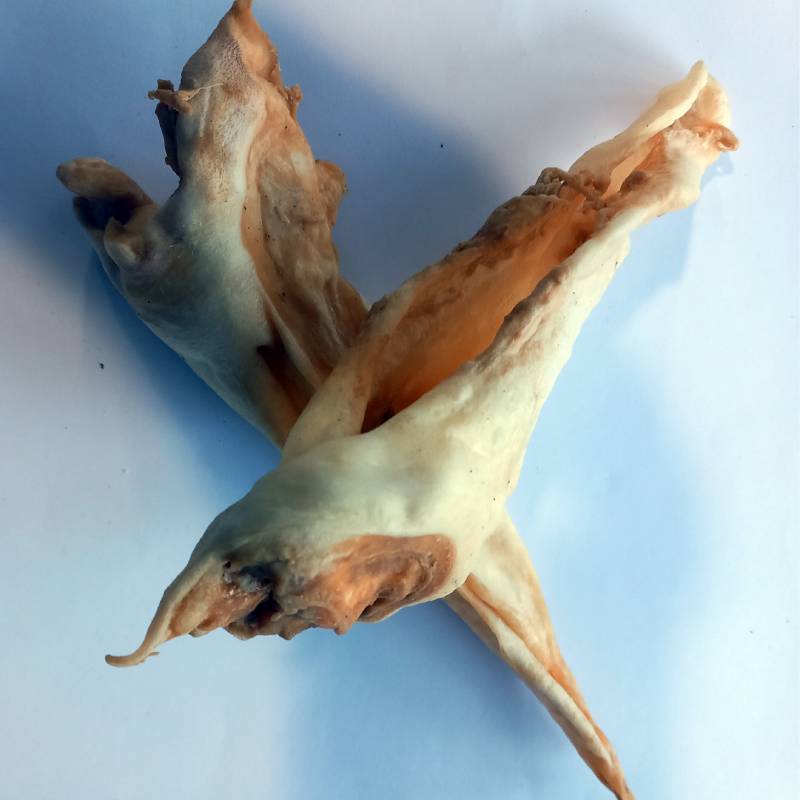Goat Ears