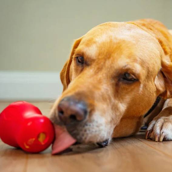 Natures Deli Liver Paste