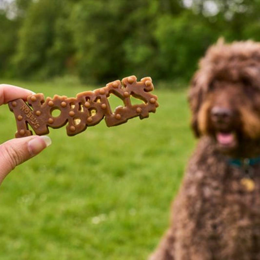 Petello Nobblys Original Peanut Butter Dog Chews