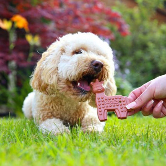 Petello Nobblys Unicorn Strawberry Dog Chew