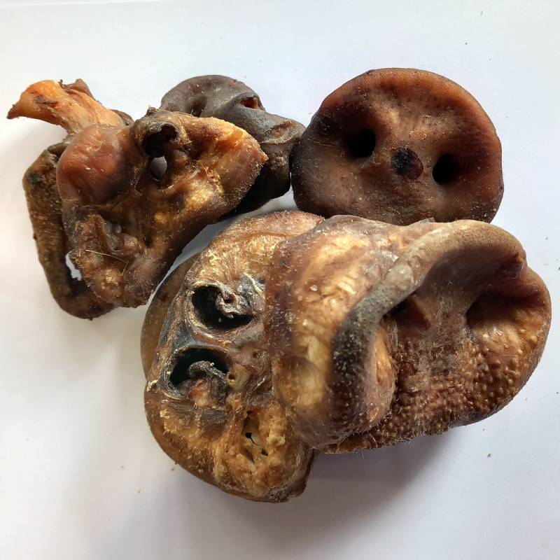Pig Snouts For Dogs