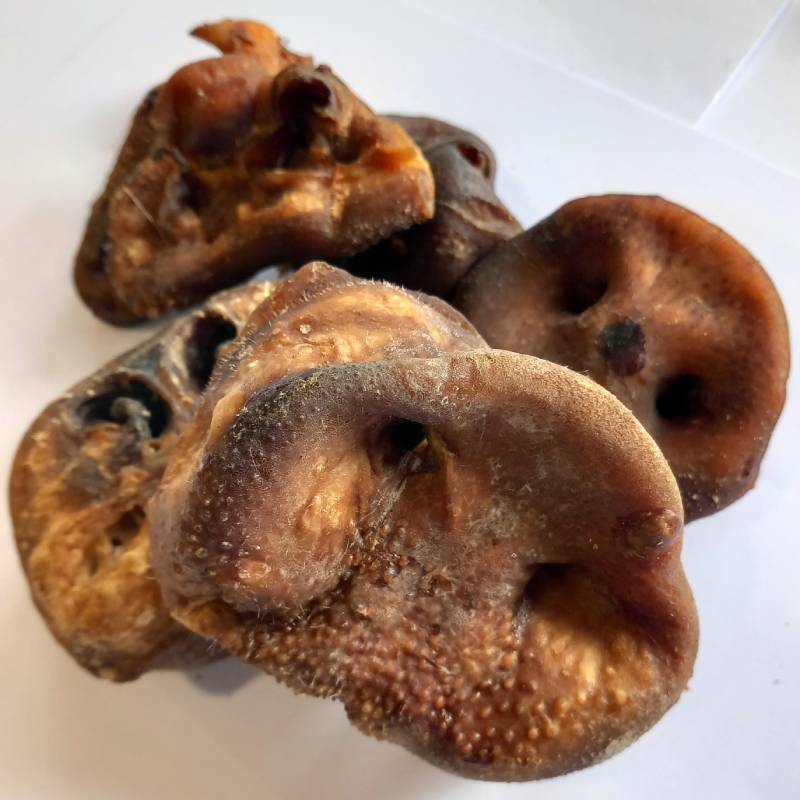 Pig Snouts For Dogs