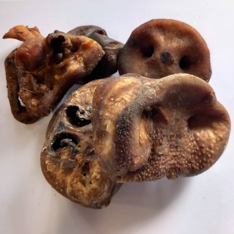 Pig Snouts For Dogs