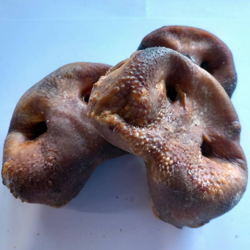 Pig Snouts For Dogs