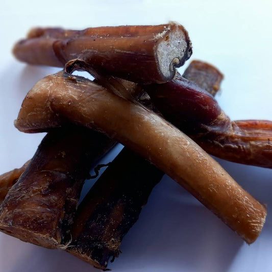 Pizzle Sticks For Dogs