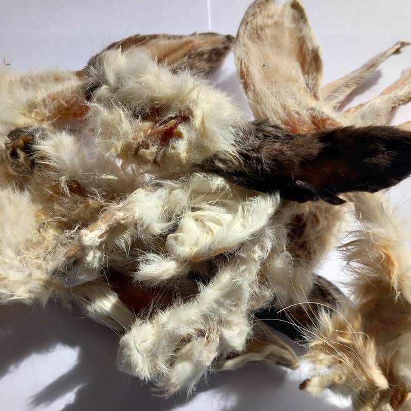 Rabbit Ears With Fur For Dogs