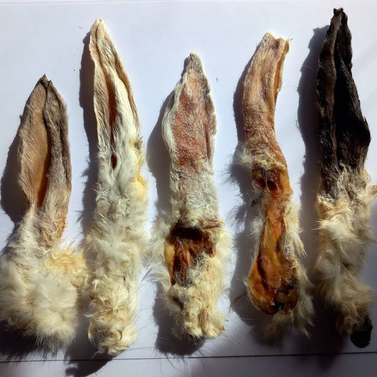 Rabbit Ears With Fur For Dogs
