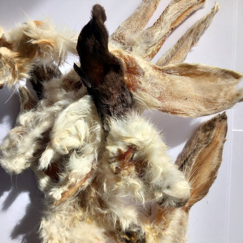 Rabbit Ears With Fur For Dogs