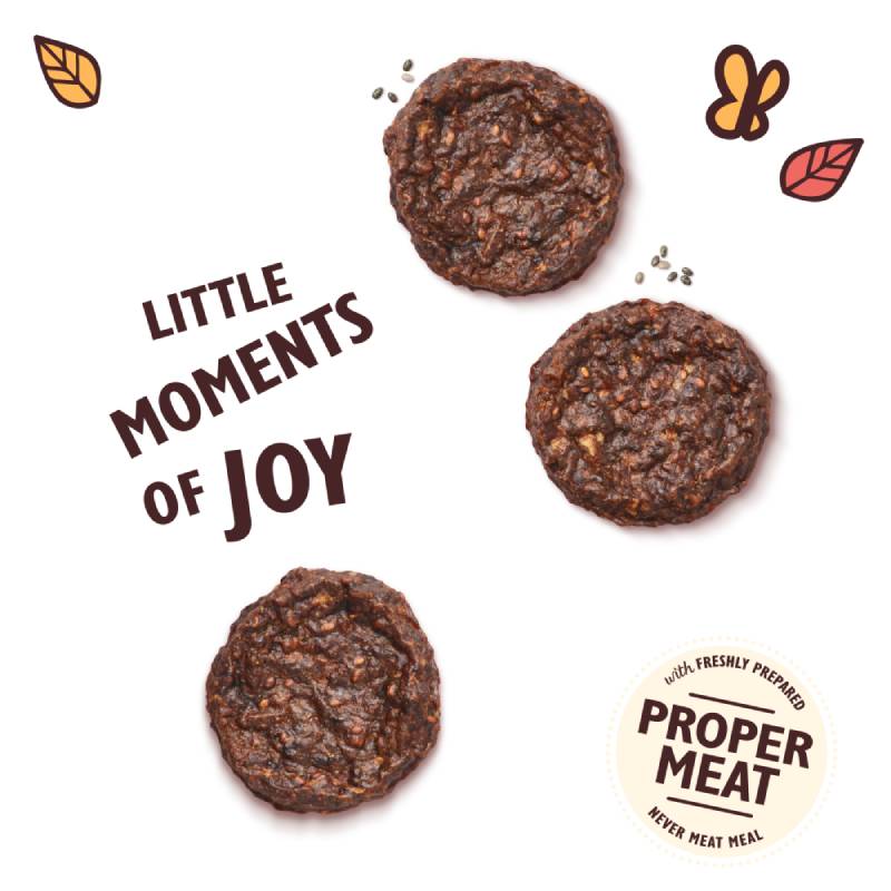 Lily’s Kitchen The Best Ever Beef Mini Burgers
