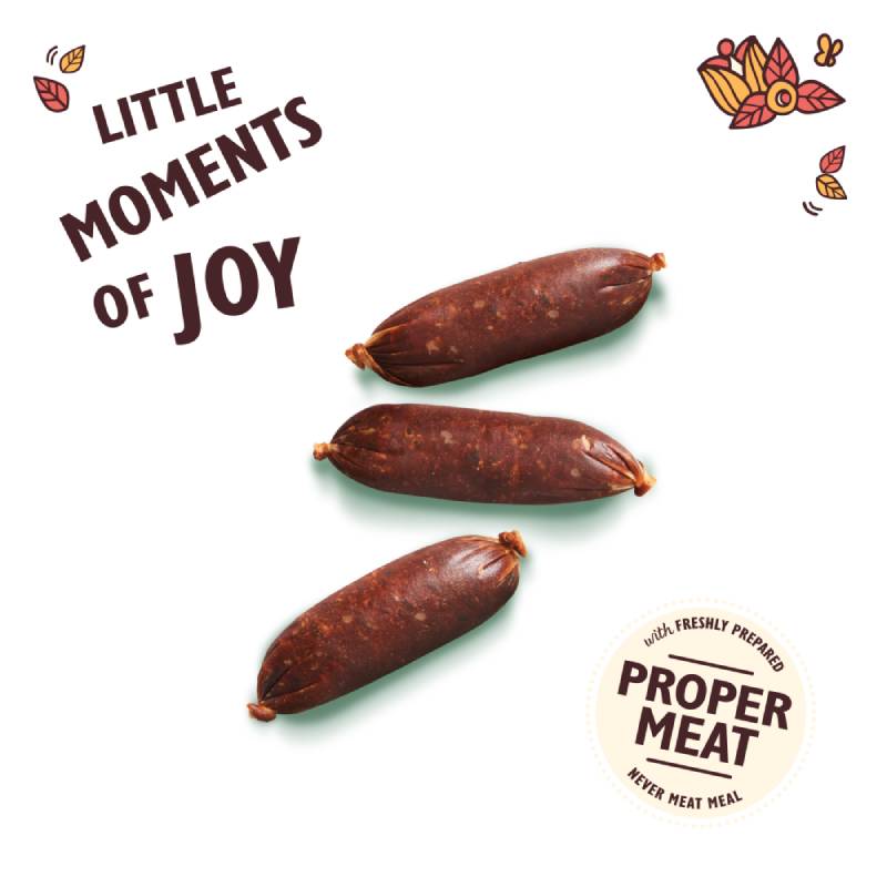 Lily’s Kitchen Cracking Pork and Apple Sausages