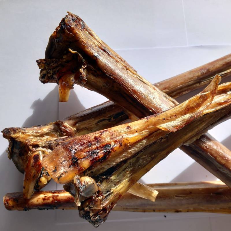Ostrich Metatarsus Bone