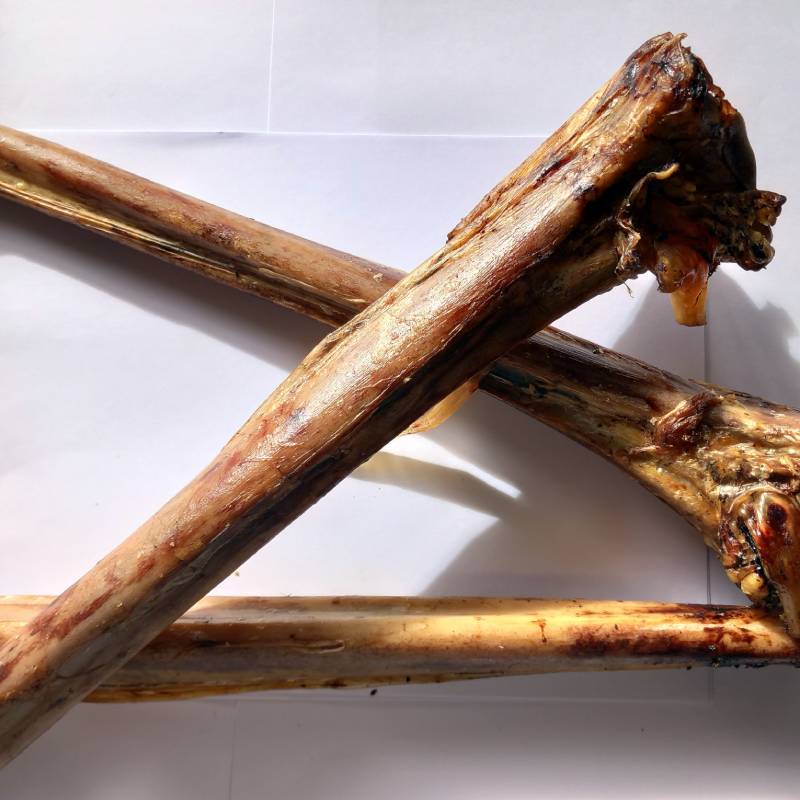 Ostrich Metatarsus Bone