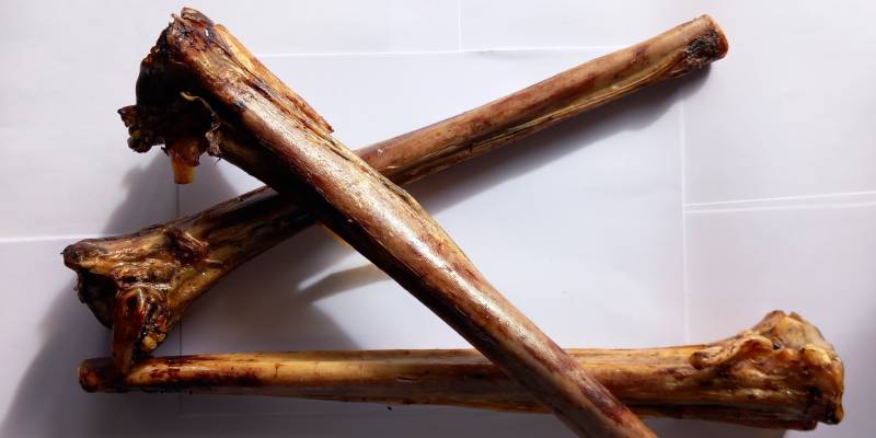 Ostrich Metatarsus Bone