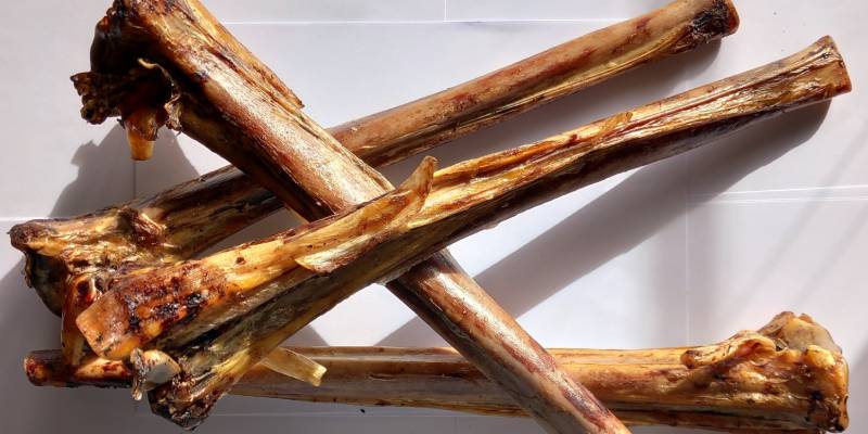 Ostrich Metatarsus Bone