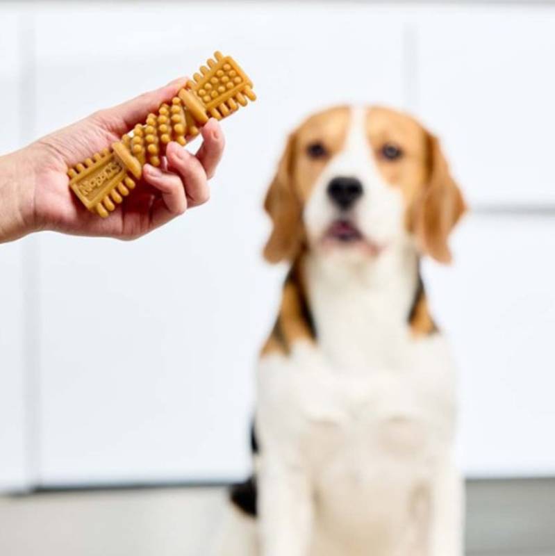 Petello Nobblys Tough Brush Peanut Butter Dog Chews