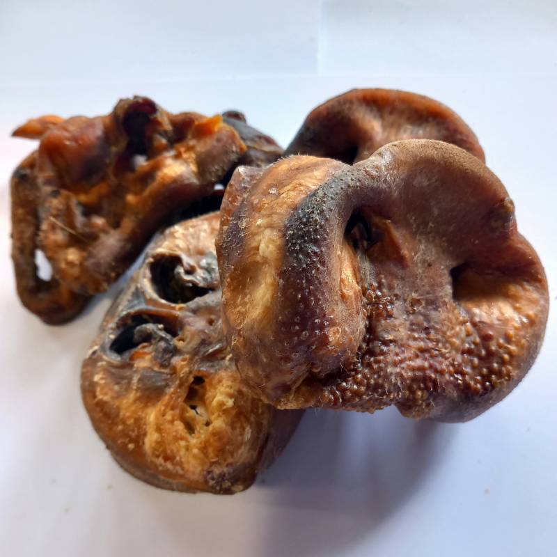 Pig Snouts For Dogs